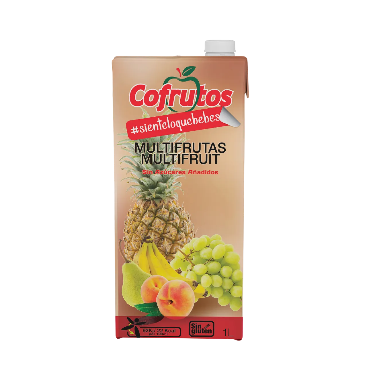 Boisson au jus Multifruits