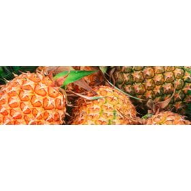 Sobre Cofrutos